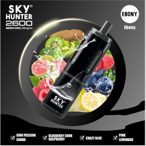 4 in 1 Sky Hunter 2600 Puffs Disposable Vape Pod Kit - Vapour VapeSky Hunter